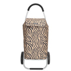 Zebra Bruin
