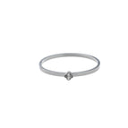 Zilver (Stainless Steel)
