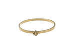 Goud (Stainless Steel)