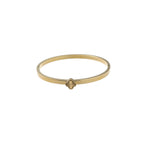 Goud (Stainless Steel)