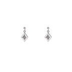 Zilver (Stainless Steel)