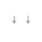 Zilver (Stainless Steel)
