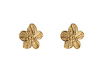 Goud (Stainless Steel)