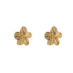Goud (Stainless Steel)