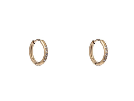 Day & Eve by Go Dutch Label Sparkle Hoops