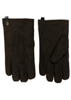 Bruin 4/XL