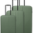 Zelená