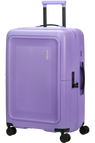 Violet Purple